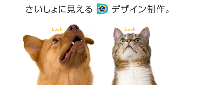 さいしょに見える、デザイン制作